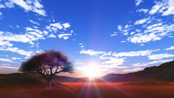 Solnedgång Vid Äng Och Ensam Träd Render Illustration — Stockfoto