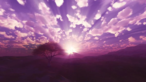 Sonnenuntergang Wiese Und Einsamem Baum Darstellung — Stockfoto
