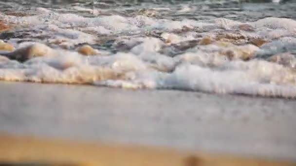 Beach wave makro zpomalení pohybu — Stock video