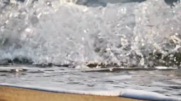 Plaj dalgası makro yavaş çekim — Stok video