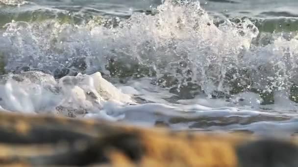 Beach wave makro zpomalení pohybu — Stock video