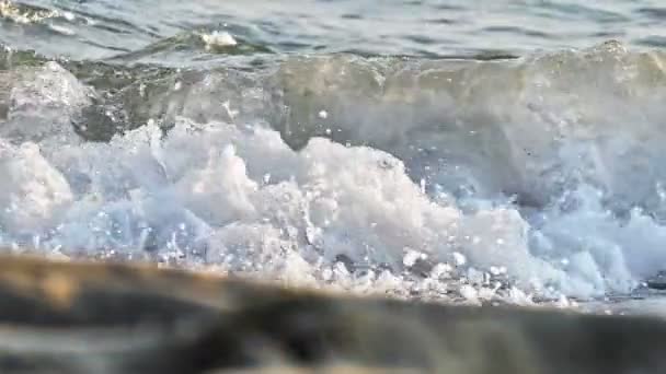 Plage vague macro ralenti — Video