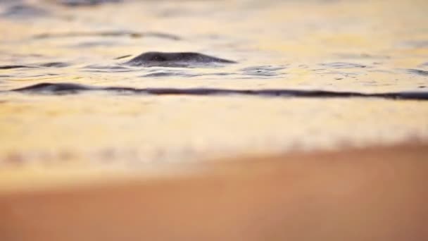 Strandbølge plasker makro i solnedgang – stockvideo
