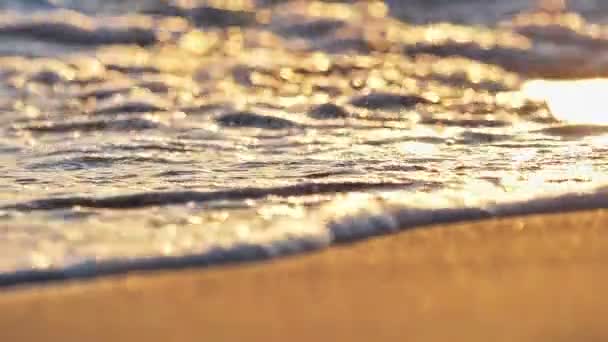 日没時のビーチ・ウェーブ・スプラッシュ・マクロ — ストック動画