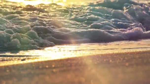 Onda de praia salpicando macro no pôr do sol — Vídeo de Stock