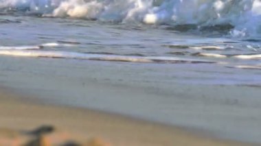 Sahil dalgası makro ağır çekim 4k