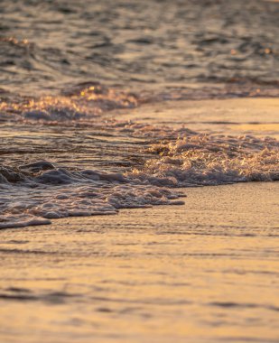 Dalgalar deniz kıyısı makrosu sıçratıyor. Yaklaş.