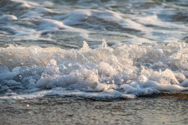 Dalgalar deniz kıyısı makrosu sıçratıyor. Yaklaş.