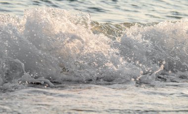 Dalgalar deniz kıyısı makrosu sıçratıyor. Yaklaş.