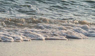 Dalgalar deniz kıyısı makrosu sıçratıyor. Yaklaş.