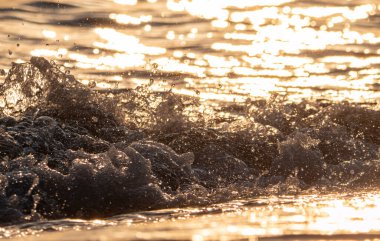 Dalgalar deniz kıyısı makrosu sıçratıyor. Yaklaş.