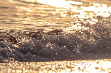 Dalgalar deniz kıyısı makrosu sıçratıyor. Yaklaş.