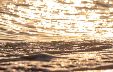Dalgalar deniz kıyısı makrosu sıçratıyor. Yaklaş.