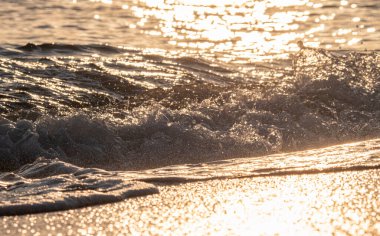 Dalgalar deniz kıyısı makrosu sıçratıyor. Yaklaş.