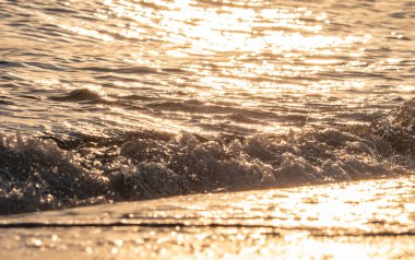 Dalgalar deniz kıyısı makrosu sıçratıyor. Yaklaş.