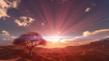 Çayırda gün batımı ve yalnız ağaç, üç boyutlu resimleme