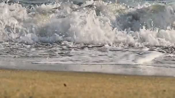 Onda de praia salpicando macro no pôr do sol — Vídeo de Stock