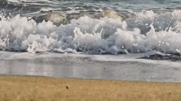 Onda de praia salpicando macro no pôr do sol — Vídeo de Stock