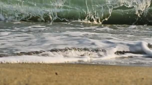 Beach wave splashing macro in sunset — Stock Video