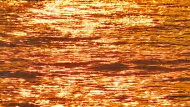 Gün doğumu altın deniz yavaş çekim 4k — Stok video
