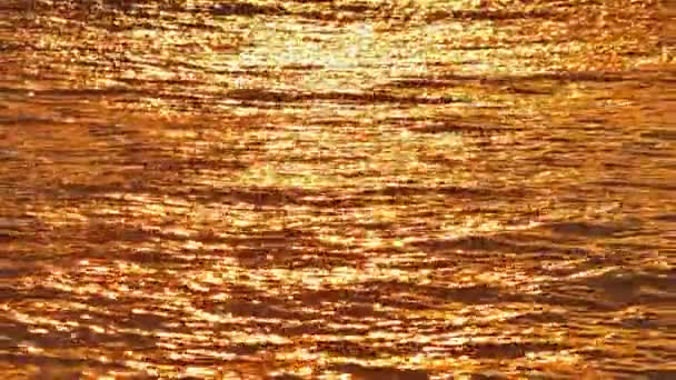 Wschód słońca złoty morze powolny ruch 4k — Wideo stockowe
