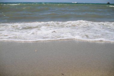 Dalgalar deniz kıyısı makrosu sıçratıyor. Yaklaş.