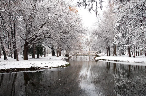 Śnieg Parku Zimowy Park Śniegu — Zdjęcie stockowe