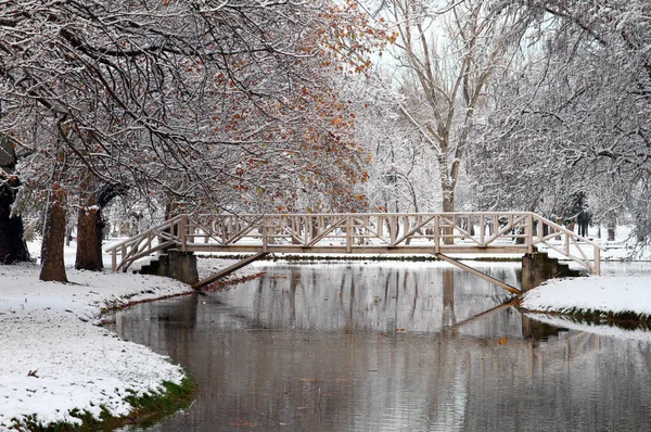 Nieve Parque Parque Invernal Nieve — Foto de Stock