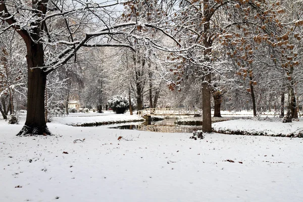 雪の公園 冬の公園で雪 — ストック写真