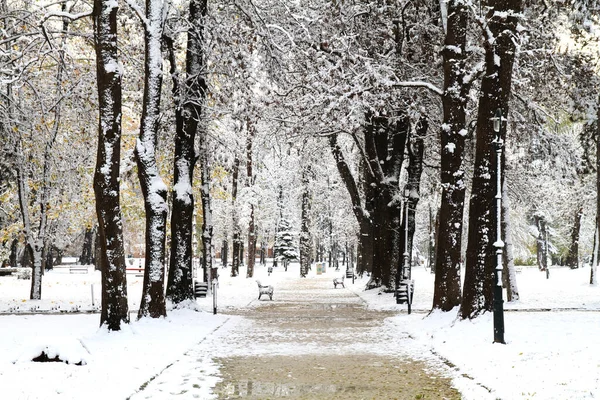 Nieve Parque Parque Invernal Nieve — Foto de Stock