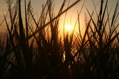 Sahilde gün batımı denizi.