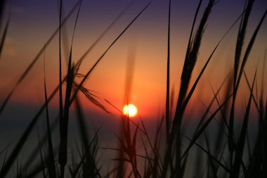 Sahilde gün batımı denizi.