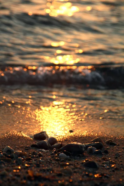 Taş Makro Altın Günbatımı Plajını Kapatın — Stok fotoğraf