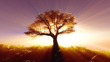 Çayırdaki ağaç baharı gün batımı illüstrasyonu, 3 boyutlu görüntüleme