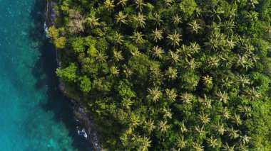 Genel gider dron kısımları palmiye ağaçları ve turkuaz deniz suyu Ko Pu Island Phuket, Tayland için bir kadeh. Soyut doku, metin için yer