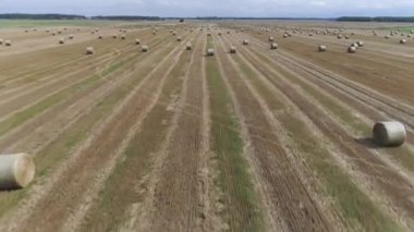 Litvanya 'da sonbaharın başlarında tarım arazilerindeki samanların (kuru otlar) insansız hava aracı görüntüleri