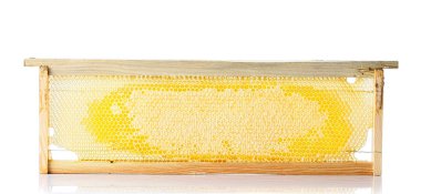 Arılar petek bal beyaz bir adam ahşap bir çerçeve içinde