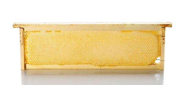 Bijen honingraat met honing in een houten frame op een witte pagina — Stockfoto