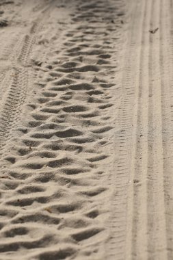Lastik izleri kum. yakın çekim. Dikey olarak vurdu