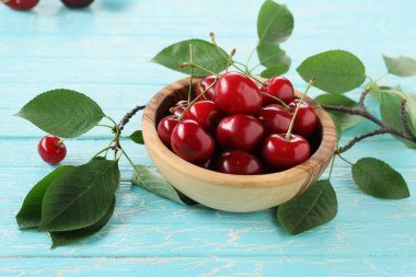 boyalı domuz arka planda ahşap bir kase olgun kiraz