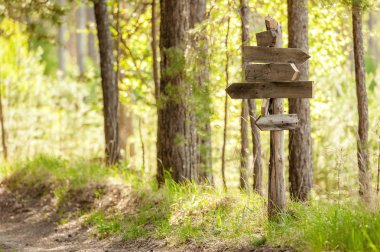 Orman yolundaişaretçiyi izleme