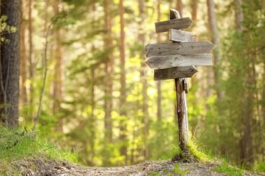 Orman yolundaişaretçiyi izleme