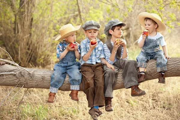 Meninos comem maçãs sentadas em um galho de árvore — Fotografia de Stock