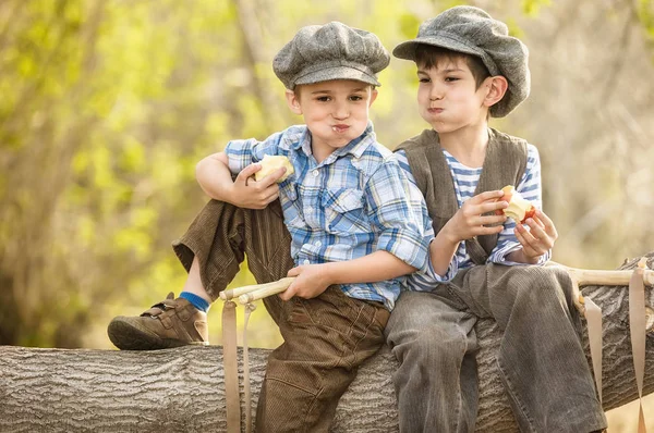 Мальчики едят яблоки, сидя на ветке дерева — стоковое фото
