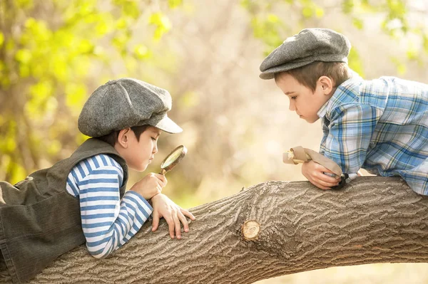 Los chicos con una lupa queman algo en una rama de árbol —  Fotos de Stock