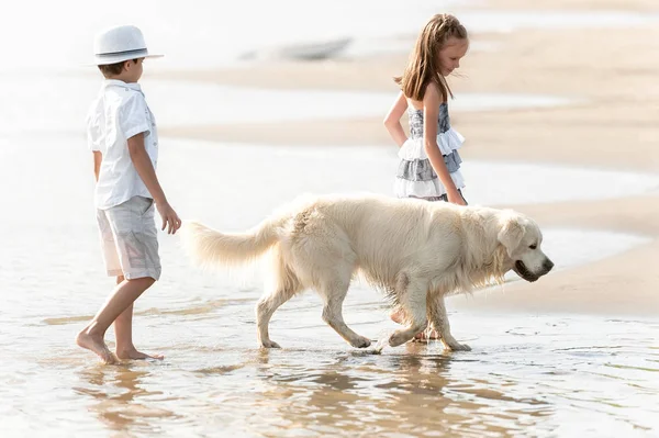 Boy with girl walking along the shore of the lake with a dog — Stock Photo, Image