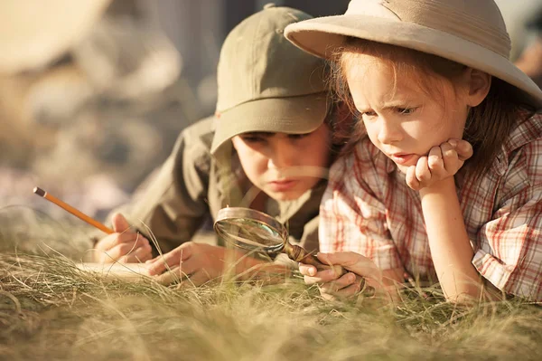 Dwoje dzieci Odkrywaj owady i rośliny na ziemi — Zdjęcie stockowe