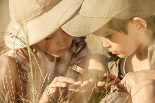 Duas crianças exploram insetos e plantas na terra — Fotografia de Stock