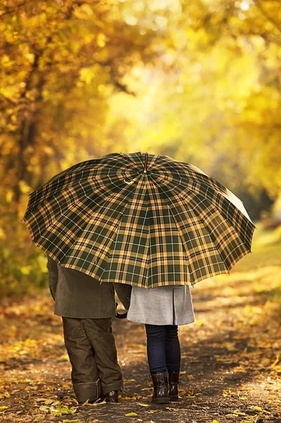 Autumn romantic girl and boy — Stock Photo, Image