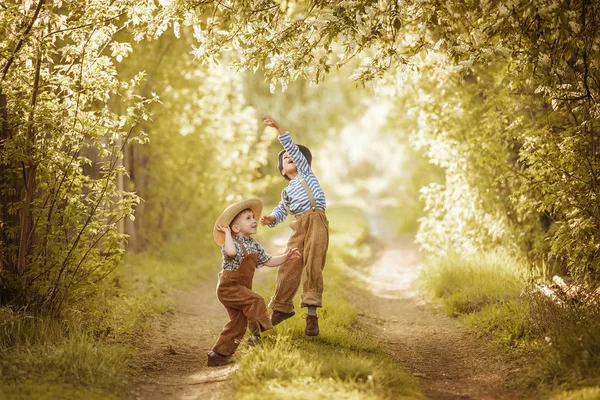 Little boy collects a bunch of bird cherry for Mom — Stock Photo, Image